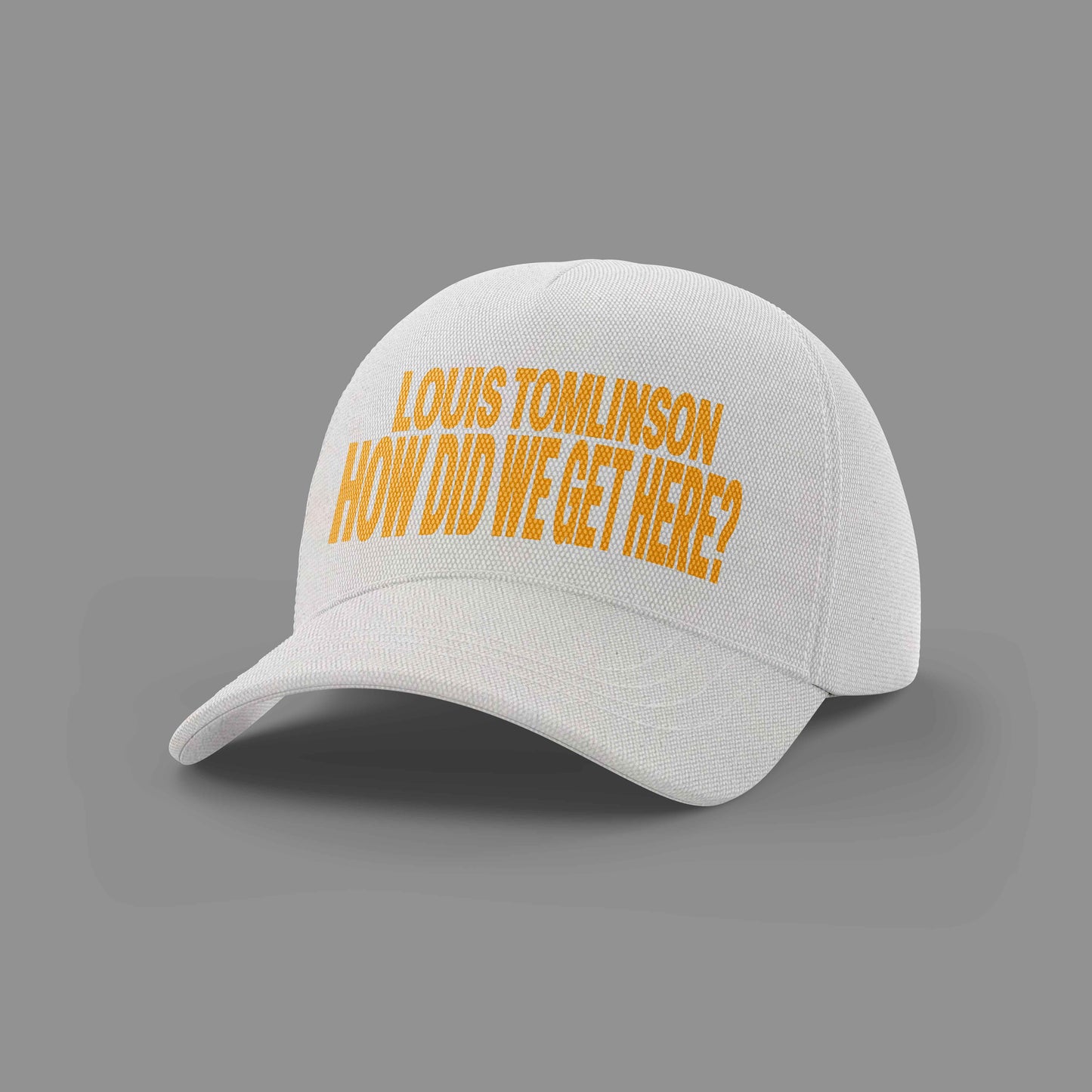 Louis Tomlinson – How Did We Get Here? Hoodie