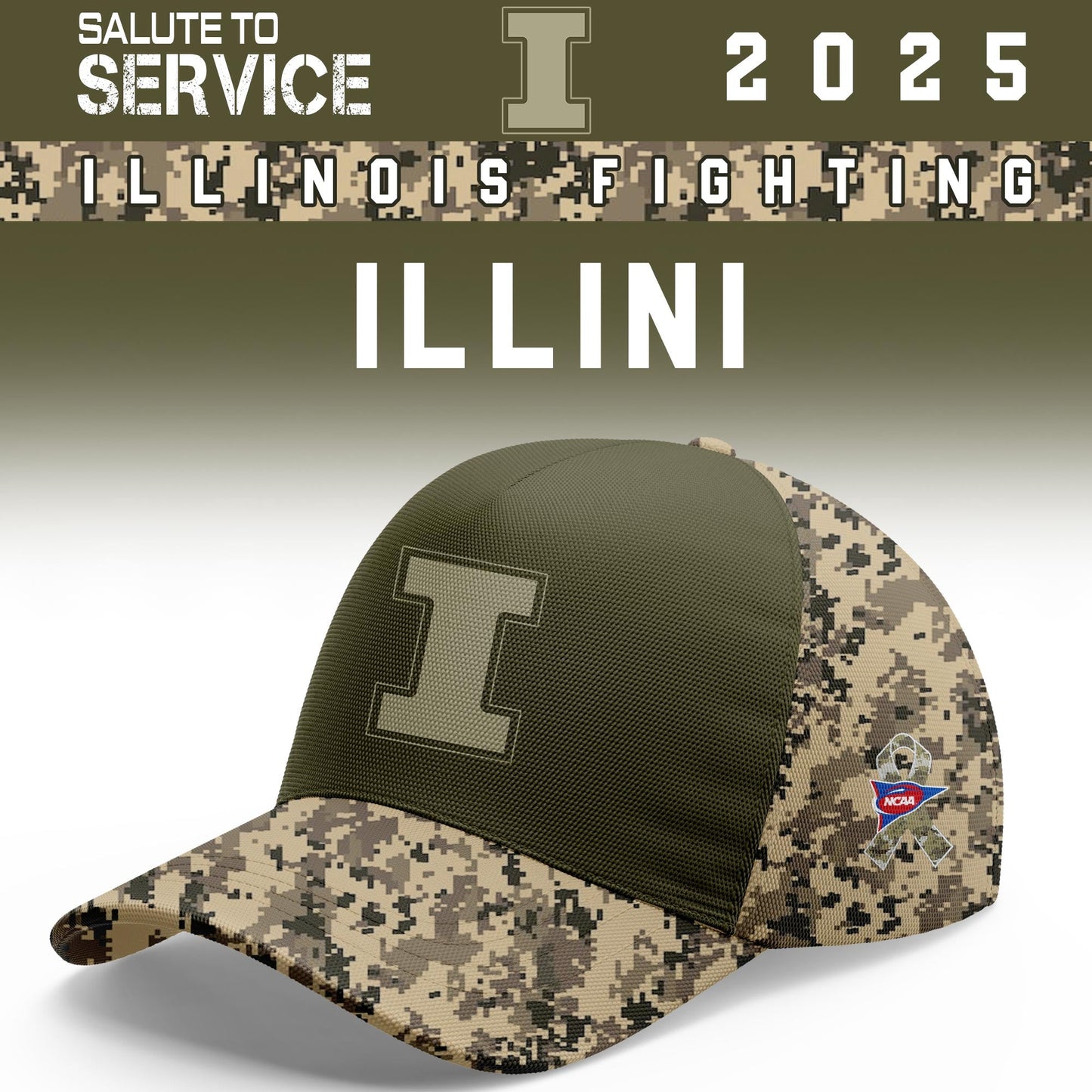 Illinois Fighting Illini Salute To Service Limited Hoodie and Cap 2025 Collection