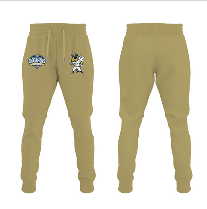2026 BACK-TO-BACK ACC CHAMPIONS – THE YELLOW JACKETS hoodie